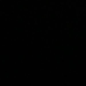 Meet your Posher, Rose